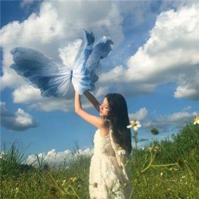 天使谋杀疑云